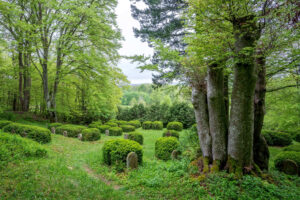 Soldatenfriedhof komp dkl